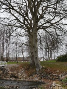 Kalenderen 1. kvartal 2026